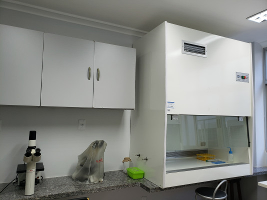 Sala cultivo celular .jpg